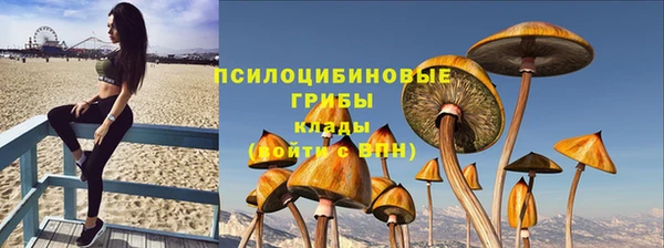 трава Балабаново
