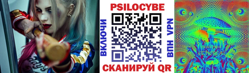 OMG рабочий сайт  Гдов  Псилоцибиновые грибы Psilocybe 